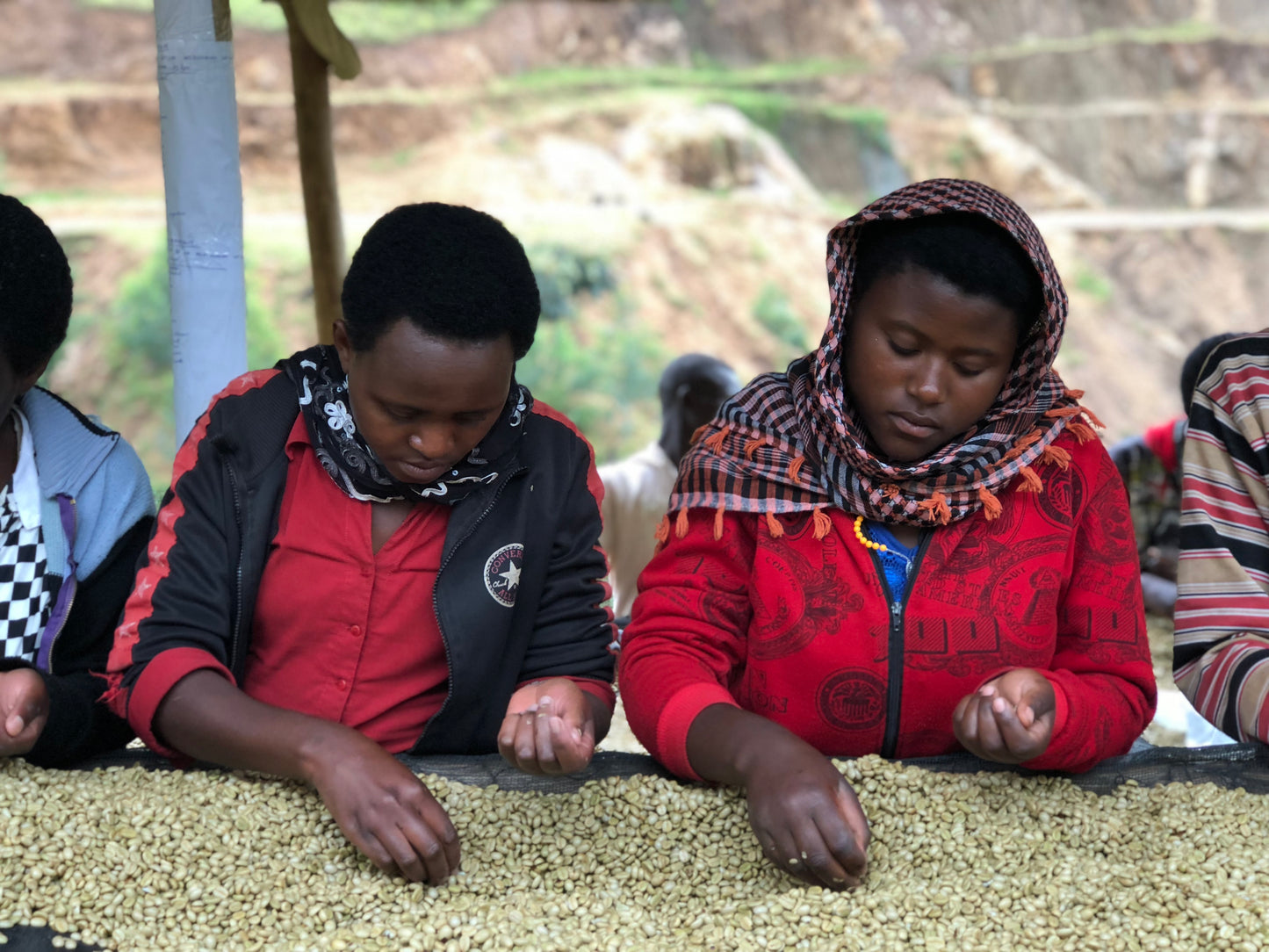 Rwanda - Shyira Duo