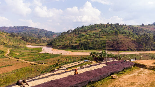 Burundi - Izuba