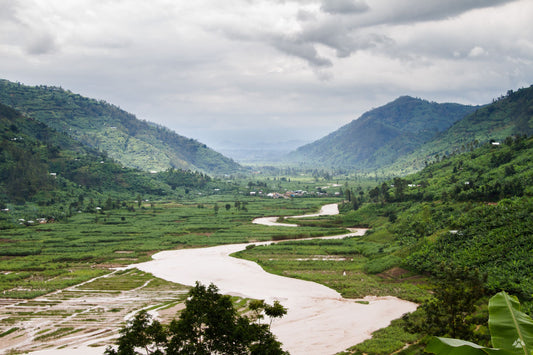 Rwanda - Shyira Duo